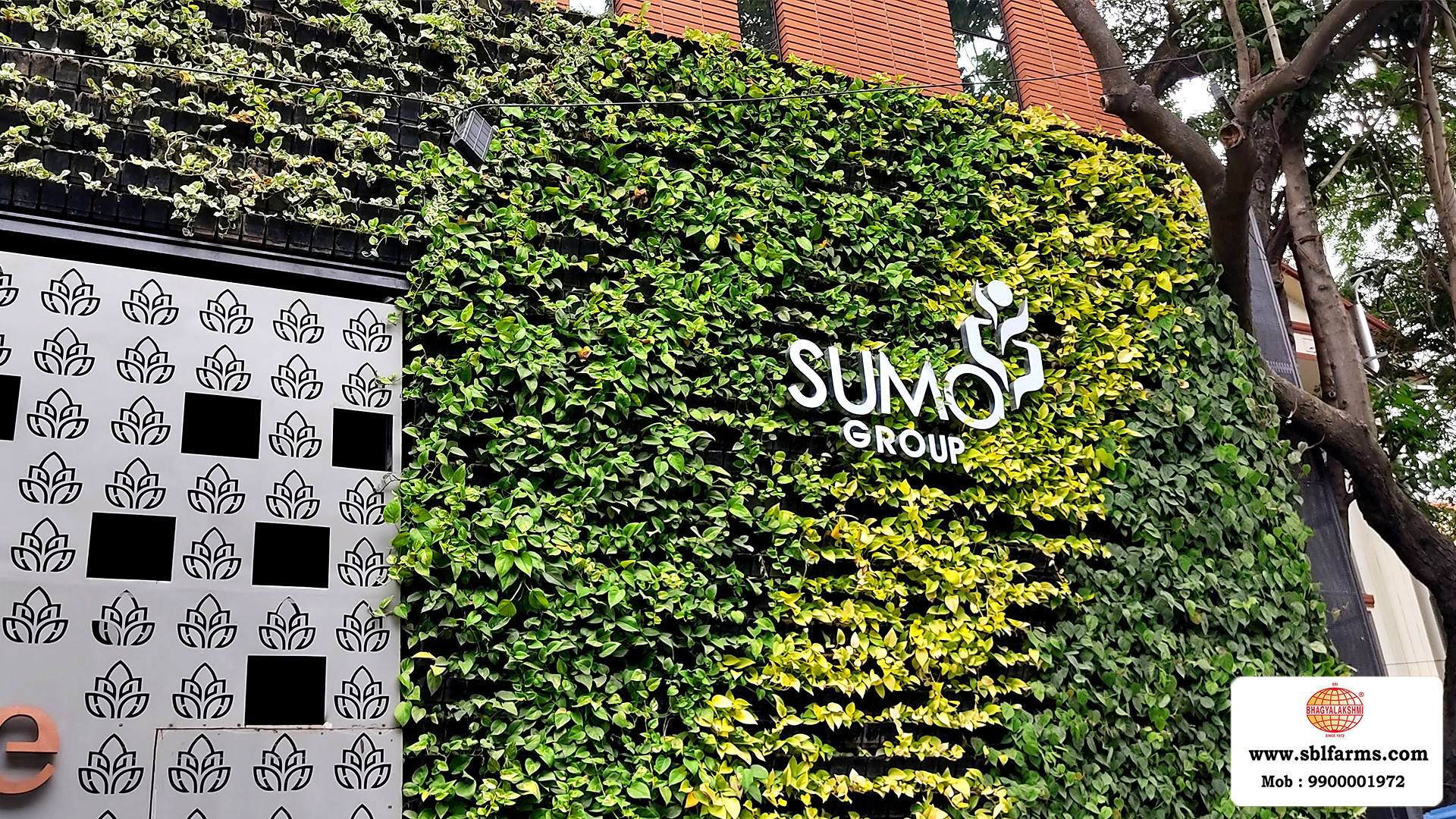 Sbl Farms Green walls and Living walls, Vertical Garden, Bio Curtains,Green wall or vertical garden installed  for Le Foliage hotel by TGI is one of the best hotels in JP Nagar from SBL Farms